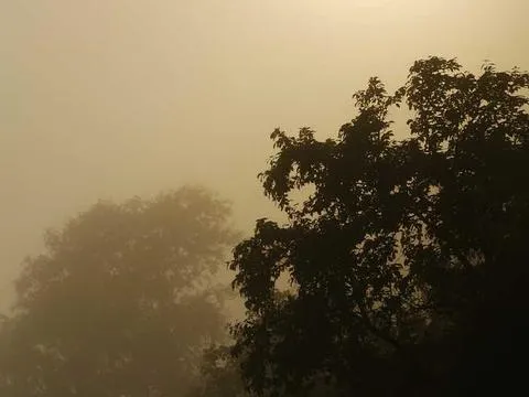 Eindhoven Session 12