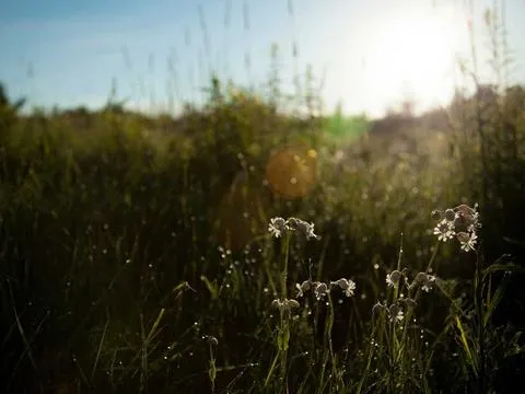 Maastricht Session 1