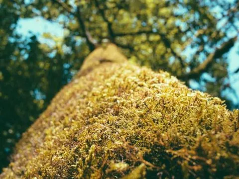 Maastricht Session 4