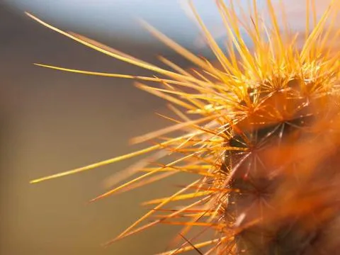 Maastricht Session 8