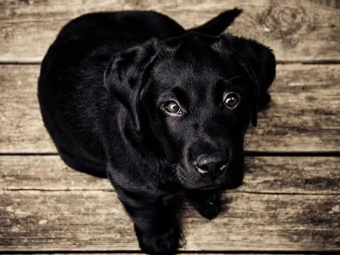 Maastricht Session 11